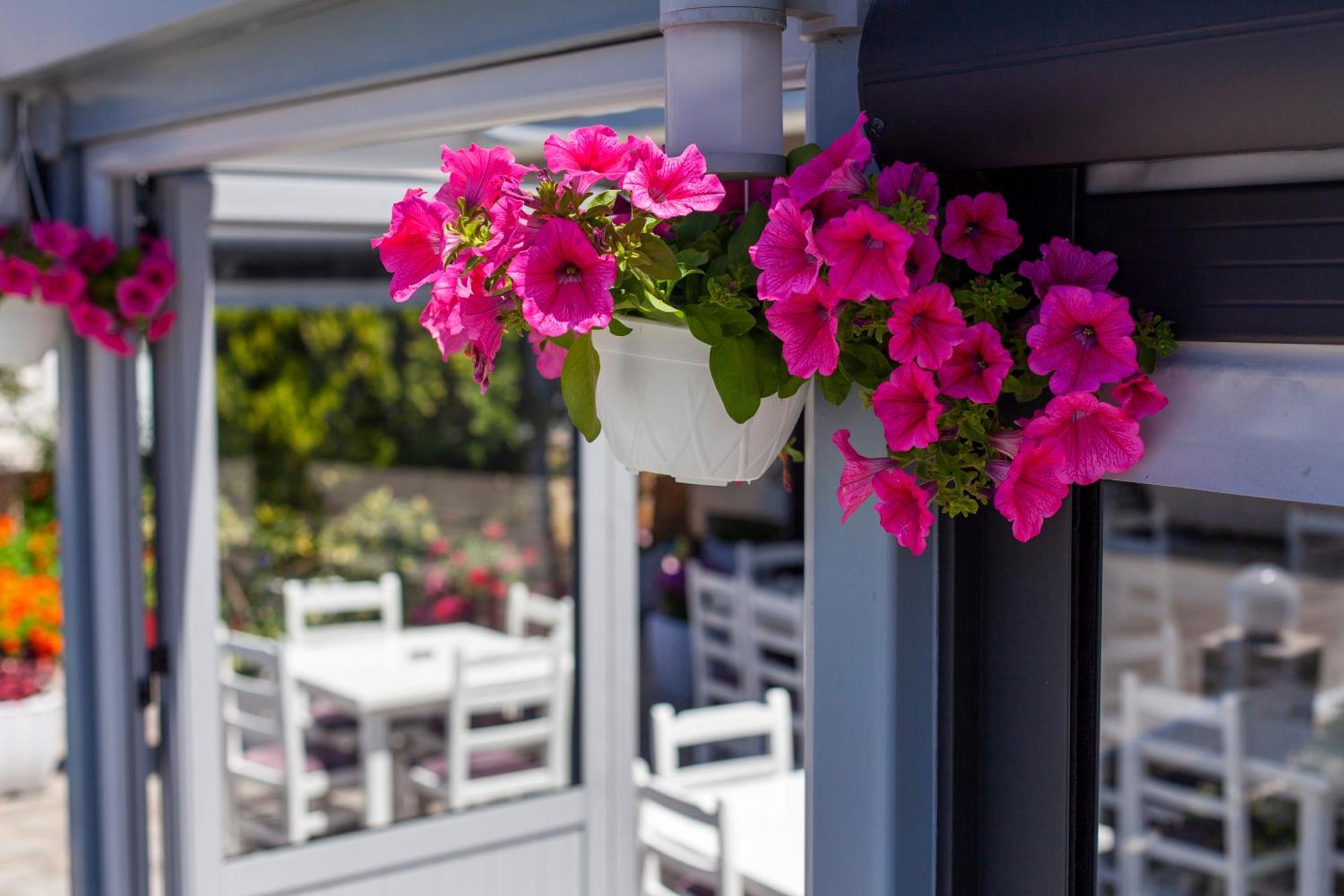 Dhima Hotel Himara Kültér fotó